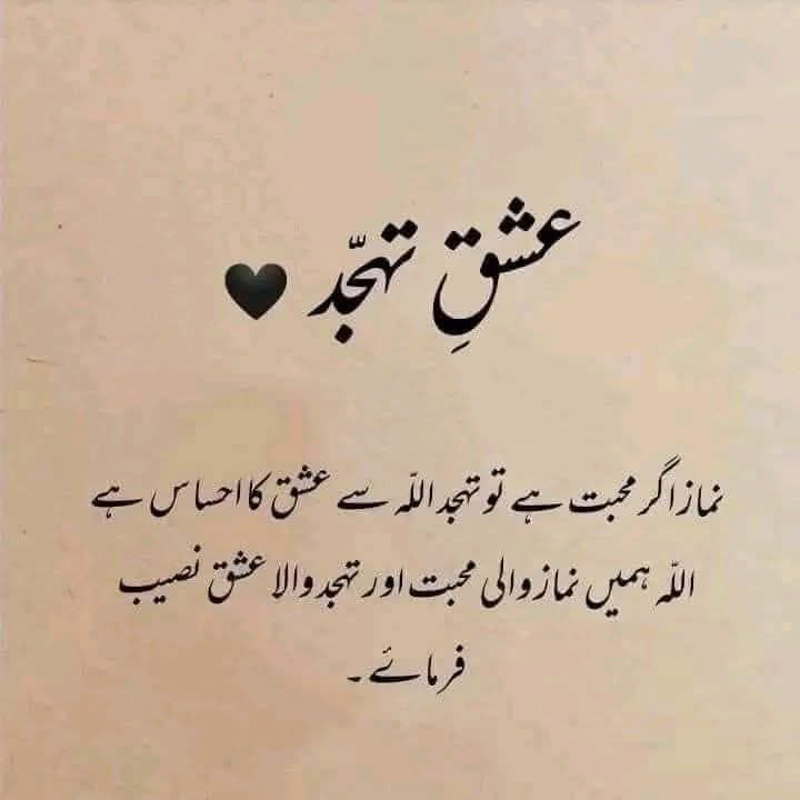 ℕ𝕚𝕟𝕚 𝕄𝕒𝕝𝕚𝕜 (ℙ𝕋𝕀) tweet media