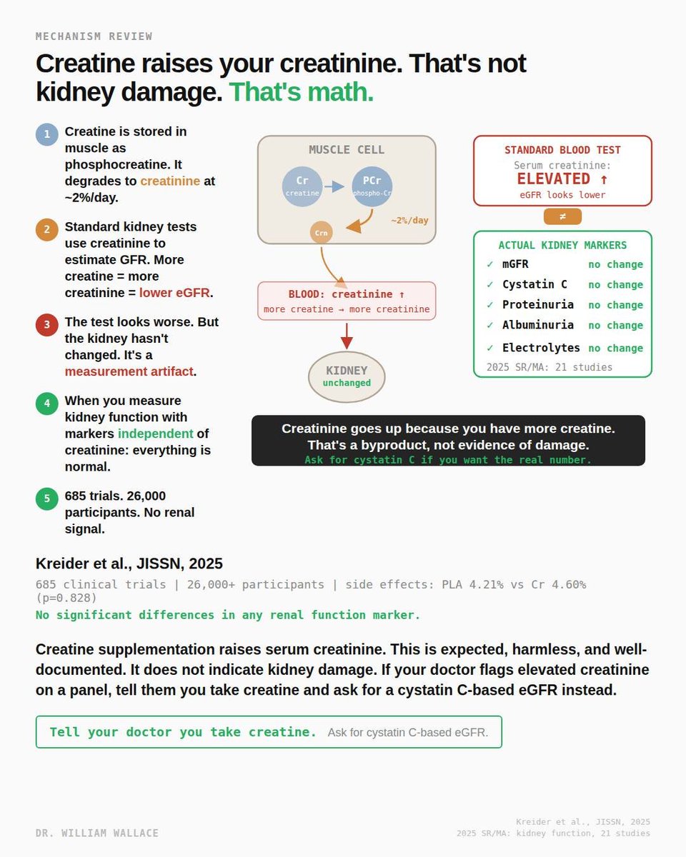 William A. Wallace, Ph.D. tweet media