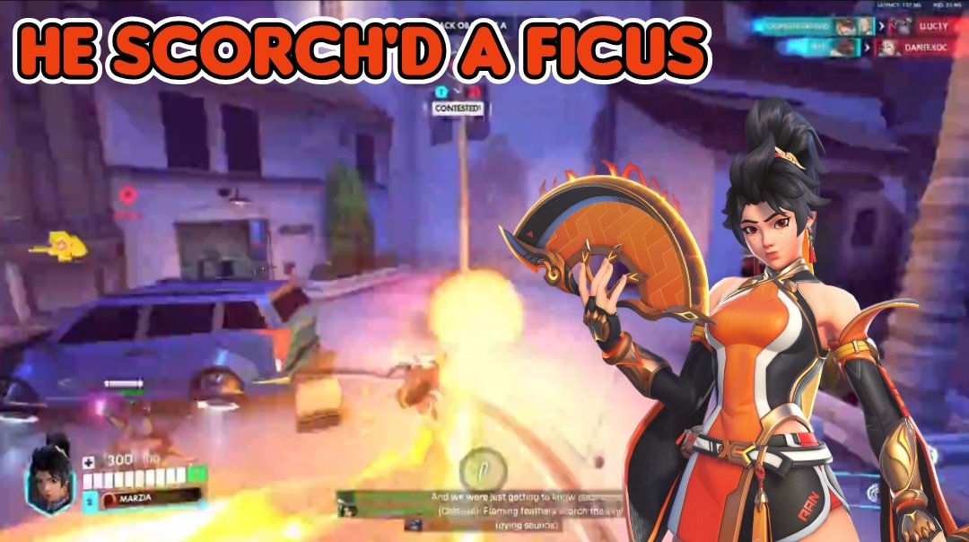 🪭🔥 Moth 🔥🪭 tweet media