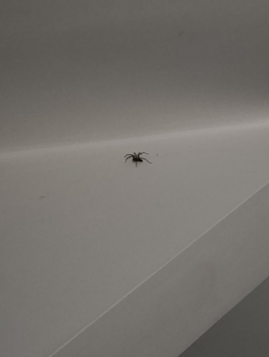 Daron100 tweet media