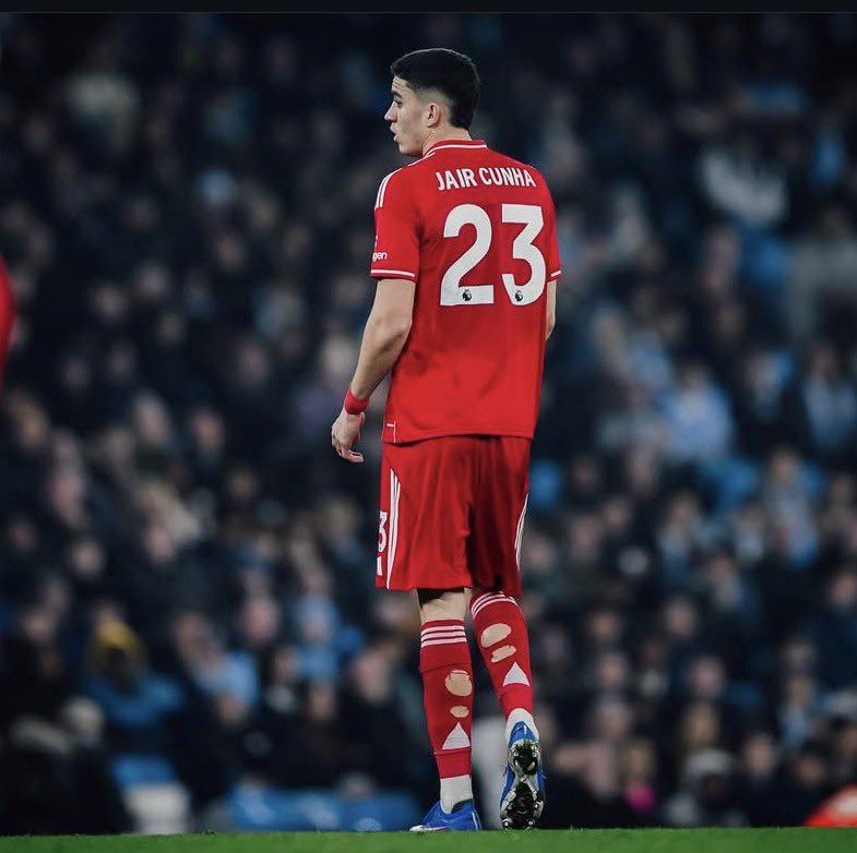 PEREIRA’s TRICKY TREES🍺🌳 tweet media