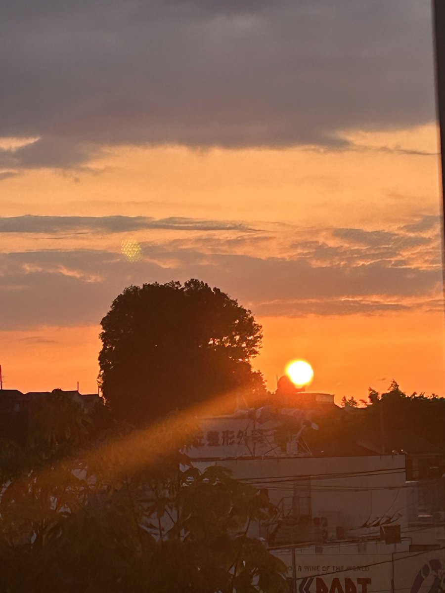 マッシー2 tweet media