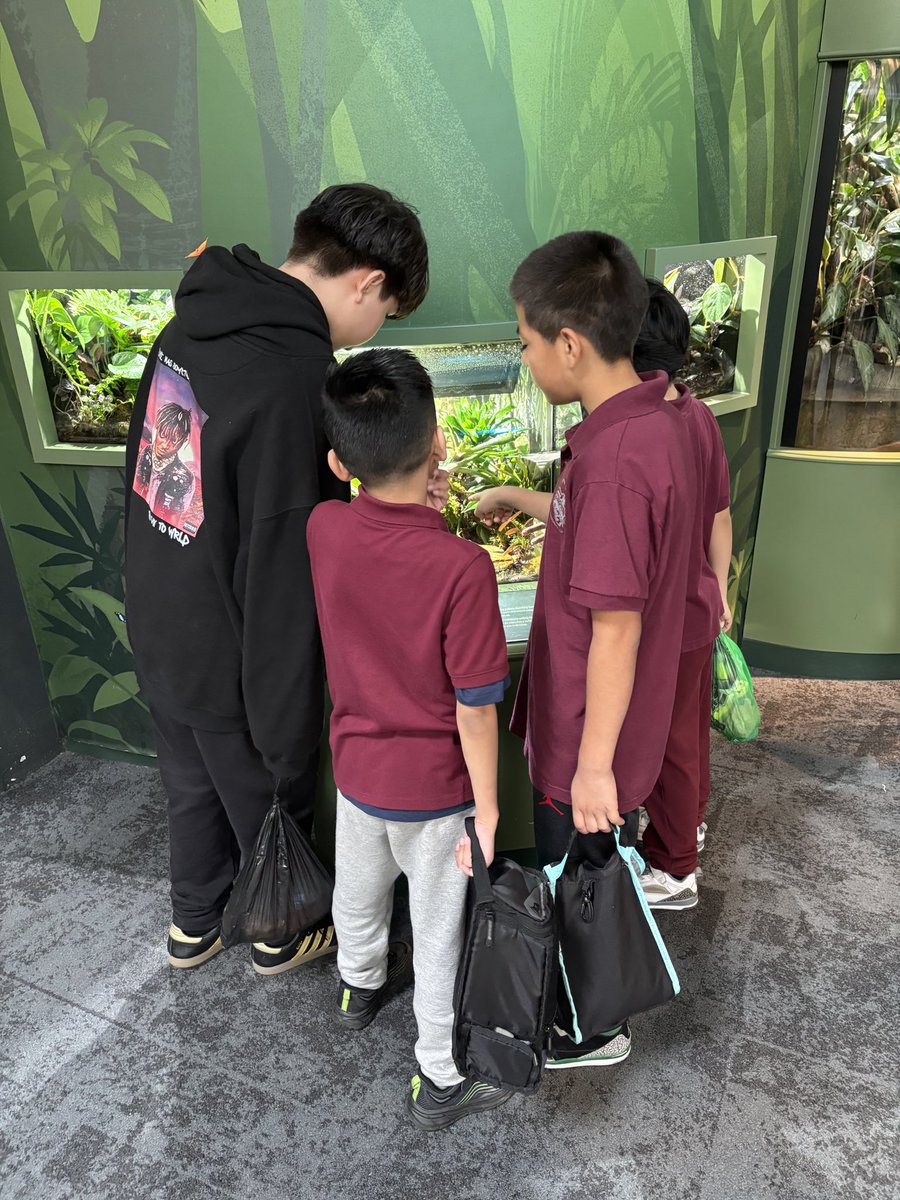 CpsSpry's tweet photo. 3rd–5th graders spent the day at the Shedd Aquarium learning beyond the classroom 🐠 https://t.co/YYO4uOnTSa