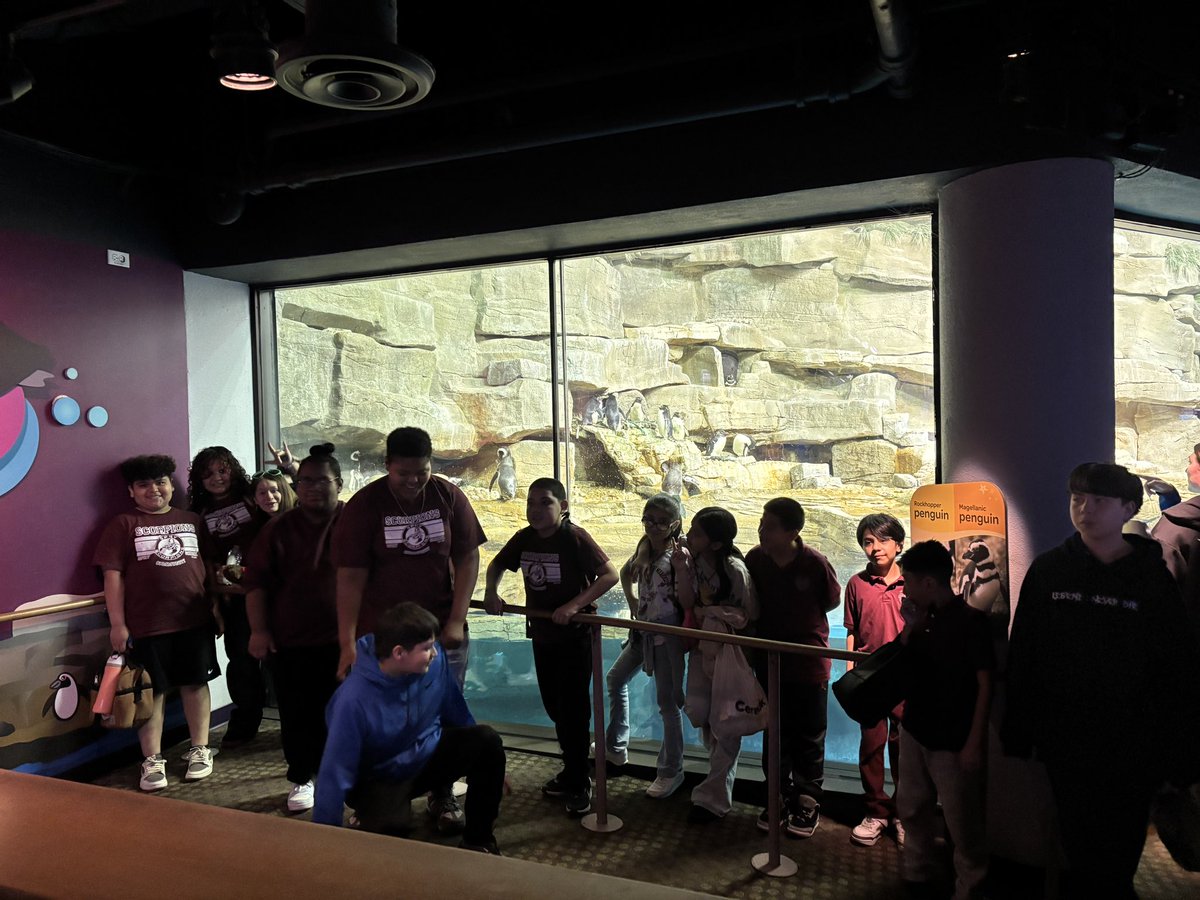 CpsSpry's tweet photo. 3rd–5th graders spent the day at the Shedd Aquarium learning beyond the classroom 🐠 https://t.co/YYO4uOnTSa