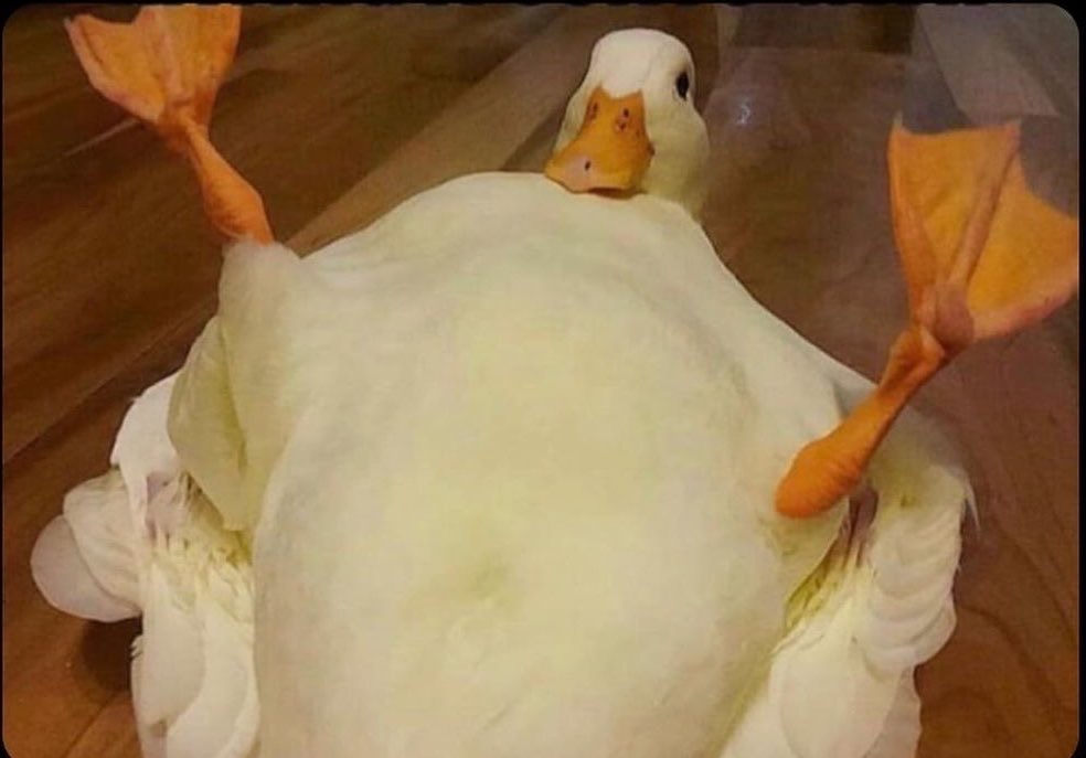 me while having a whole convo with my wax lady