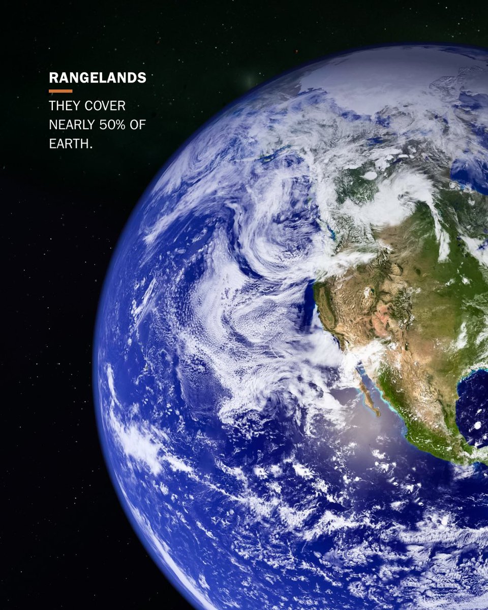 PLCranching's tweet photo. With 2026 declared as the International Year of Rangelands and Pastoralists (@IYRP2026), we celebrate the value of these working landscapes and the people who steward them.
 
Rangelands cover nearly half of the Earth’s surface and support biodiversity, food systems, and rural livelihoods. These dynamic ecosystems play a vital role in maintaining soil health, storing carbon, mitigating wildfire risk, and so much more. 
 
Public lands ranchers across the U.S. are an instrumental part of the global story. 
 
#IYRP #PublicLandsGrazing #PLC #StewardshipInAction