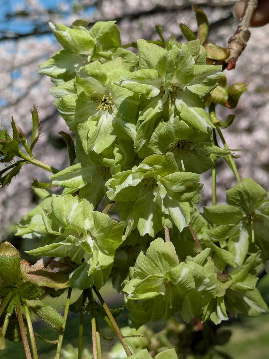 積水化学工業株式会社【公式】 tweet media