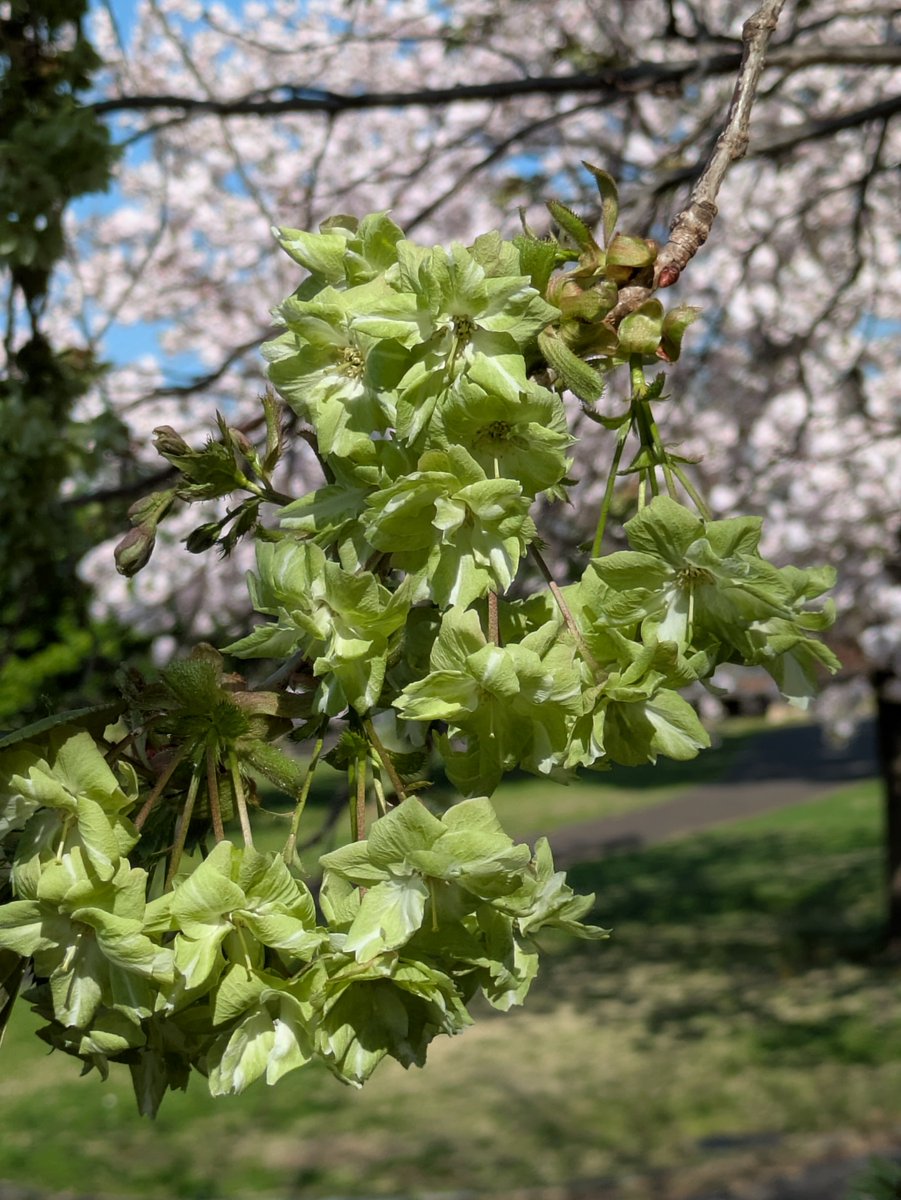 積水化学工業株式会社【公式】 tweet media