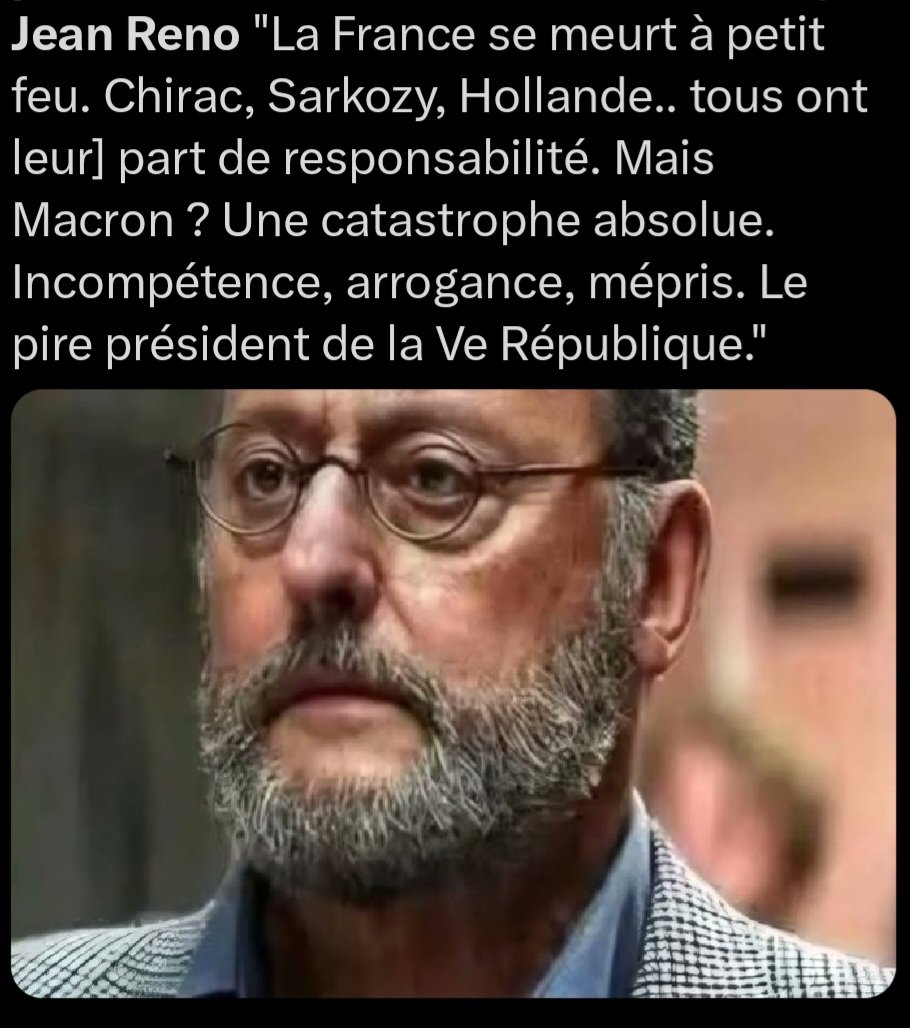 Le petit futé tweet media