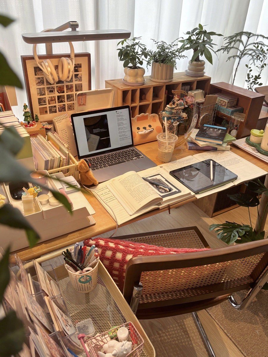 burdel matthias tweet media