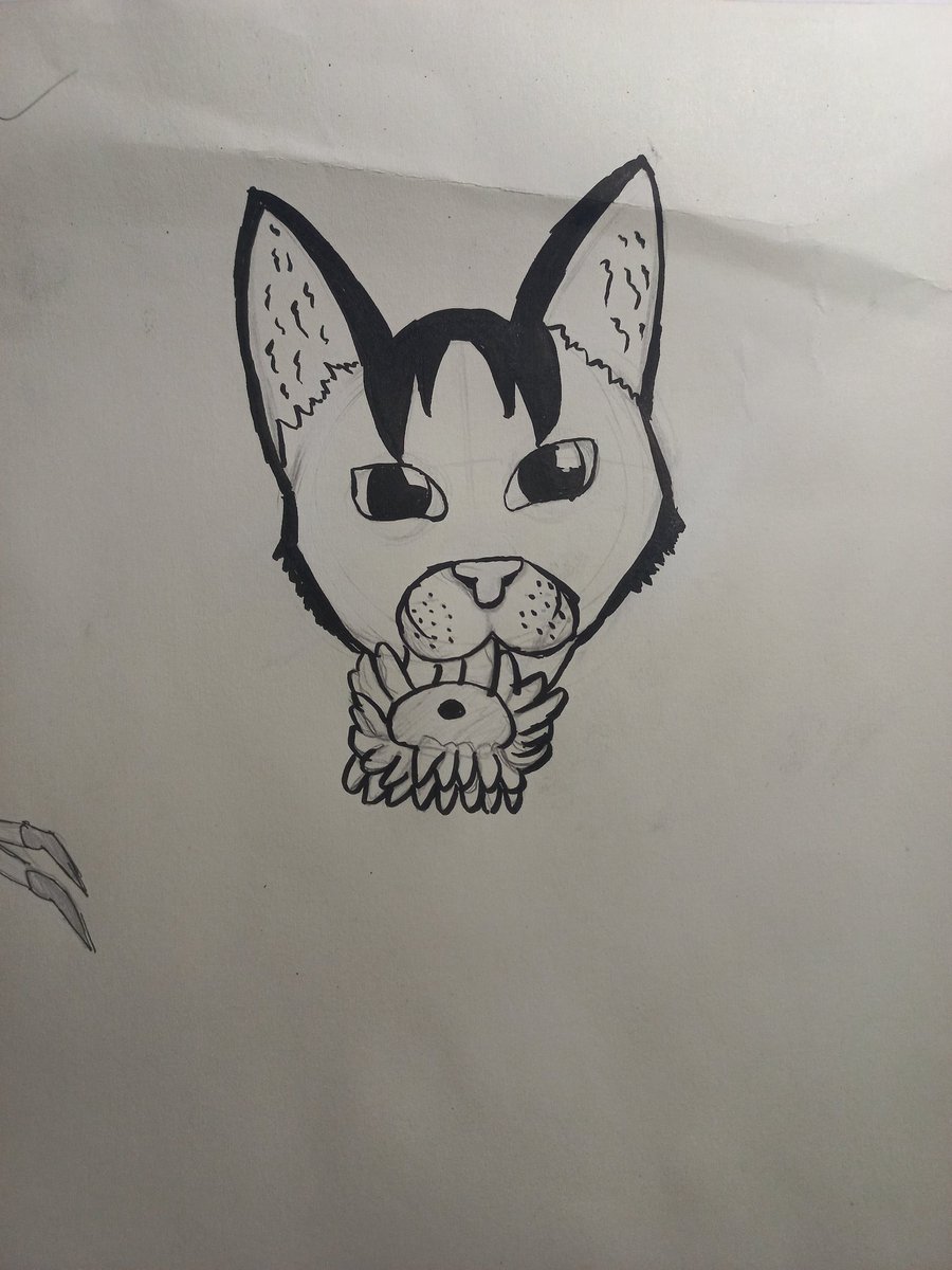 caltusv's tweet photo. Brush pen alın hayatıma gelmiş en güzel şey https://t.co/NtaxzBl4aC