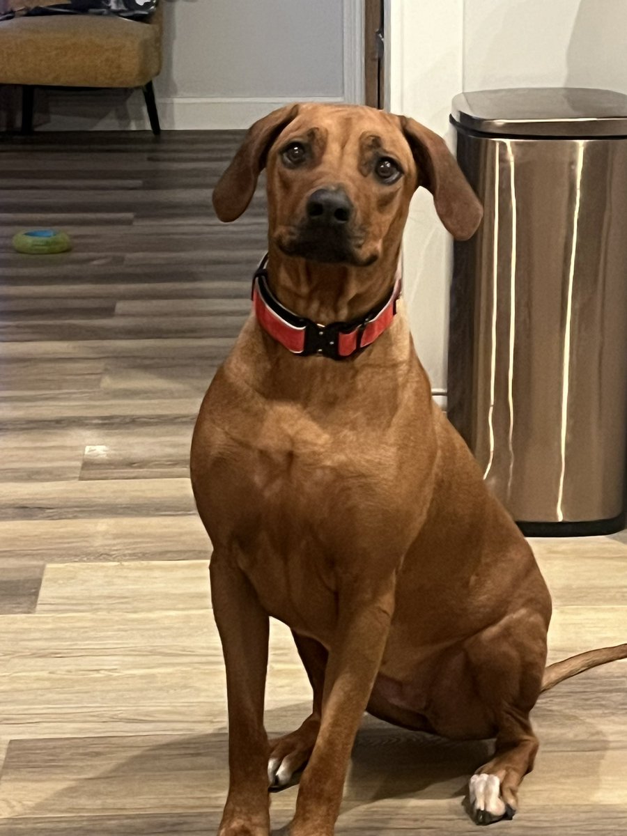 mom2HH&AV tweet media