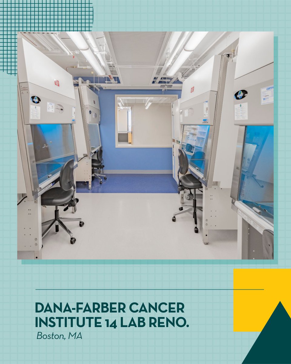 MOREgroup tweet media