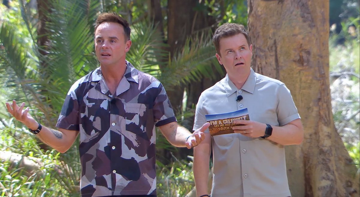 antanddec tweet media
