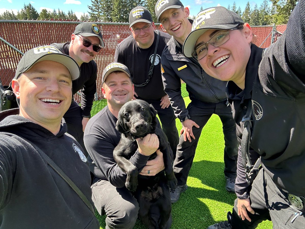 WSPHSD's tweet photo. We had to say goodbye to one of our prospective K9’s today.  K9 Lily had tons of energy and was fun to work with but didn’t quite have what it takes to be one of our Explosive Detection K9’s.  She will be returned to our vendor and rehoused from there.  She will be missed! https://t.co/TLNTPJk4fk