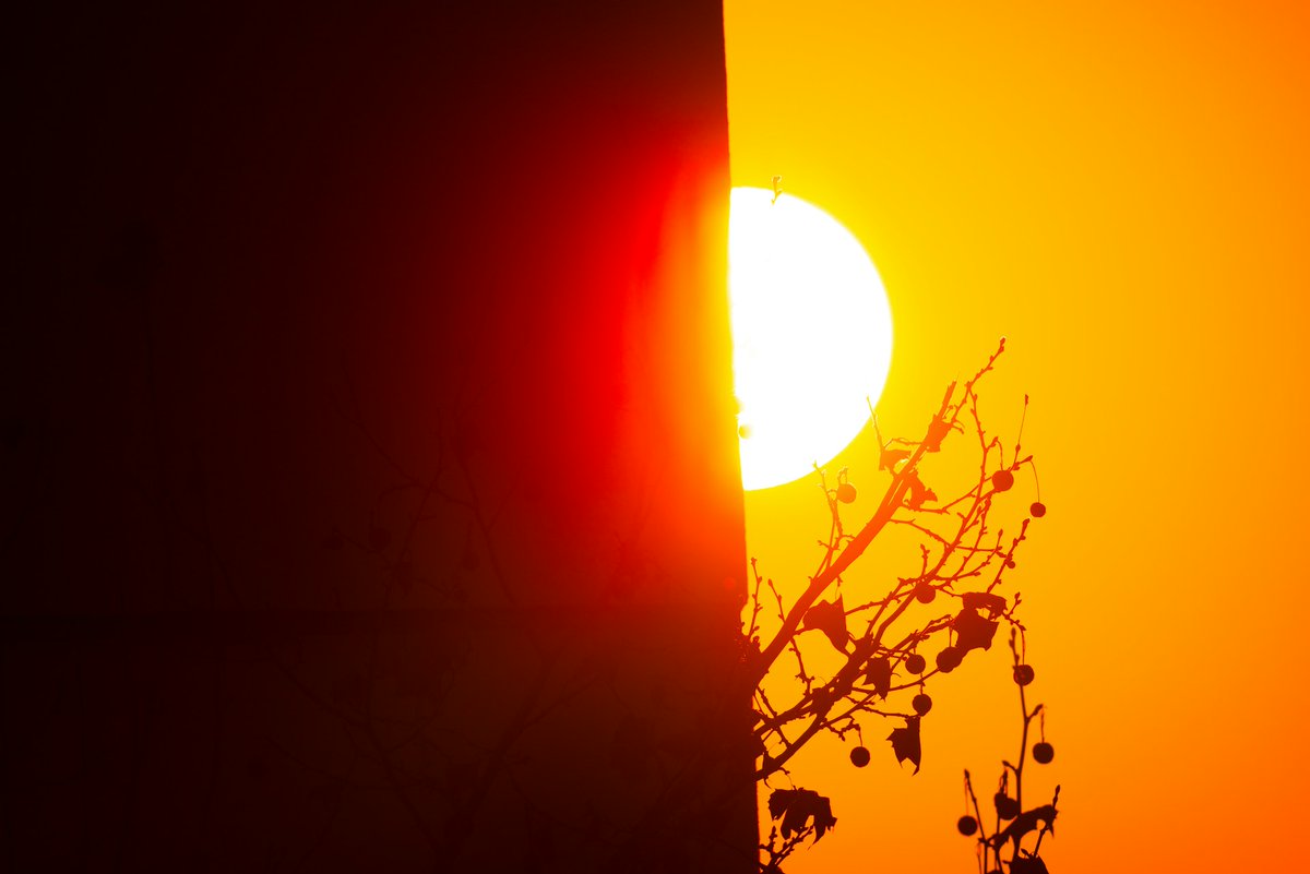 Lluvia de Verano tweet media