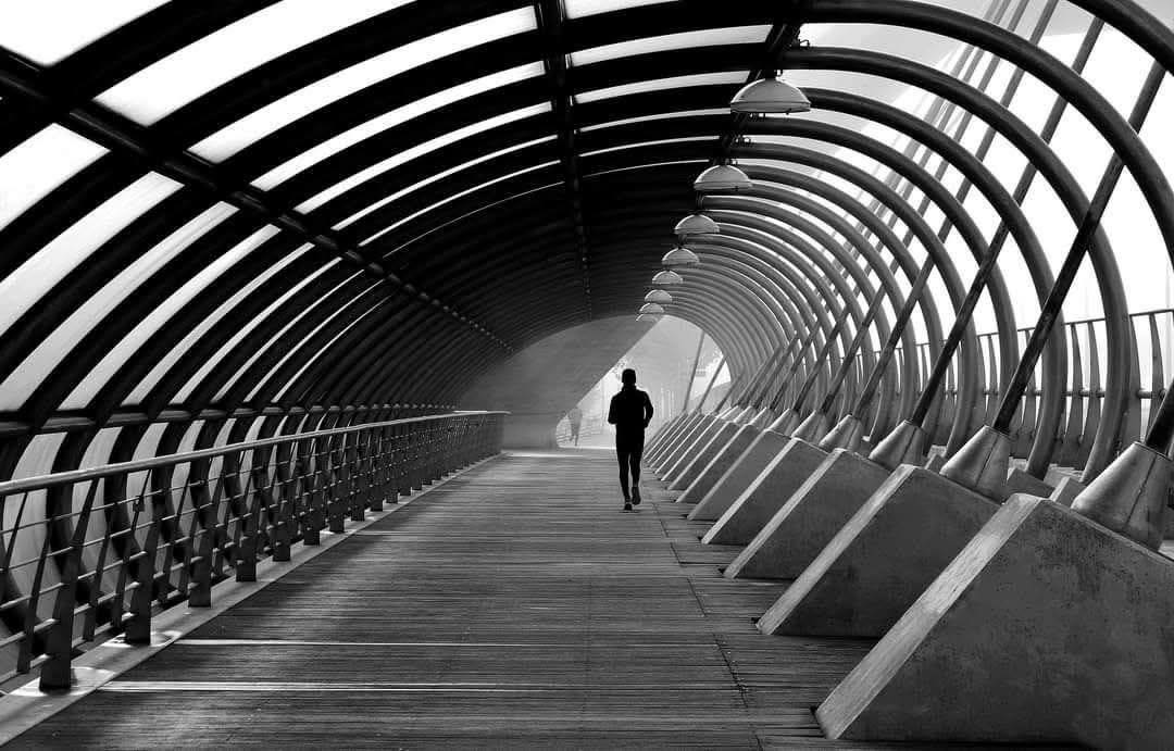 𝙈𝙖𝙟𝙖 𝙎𝙚𝙣𝙙𝙖  tweet media