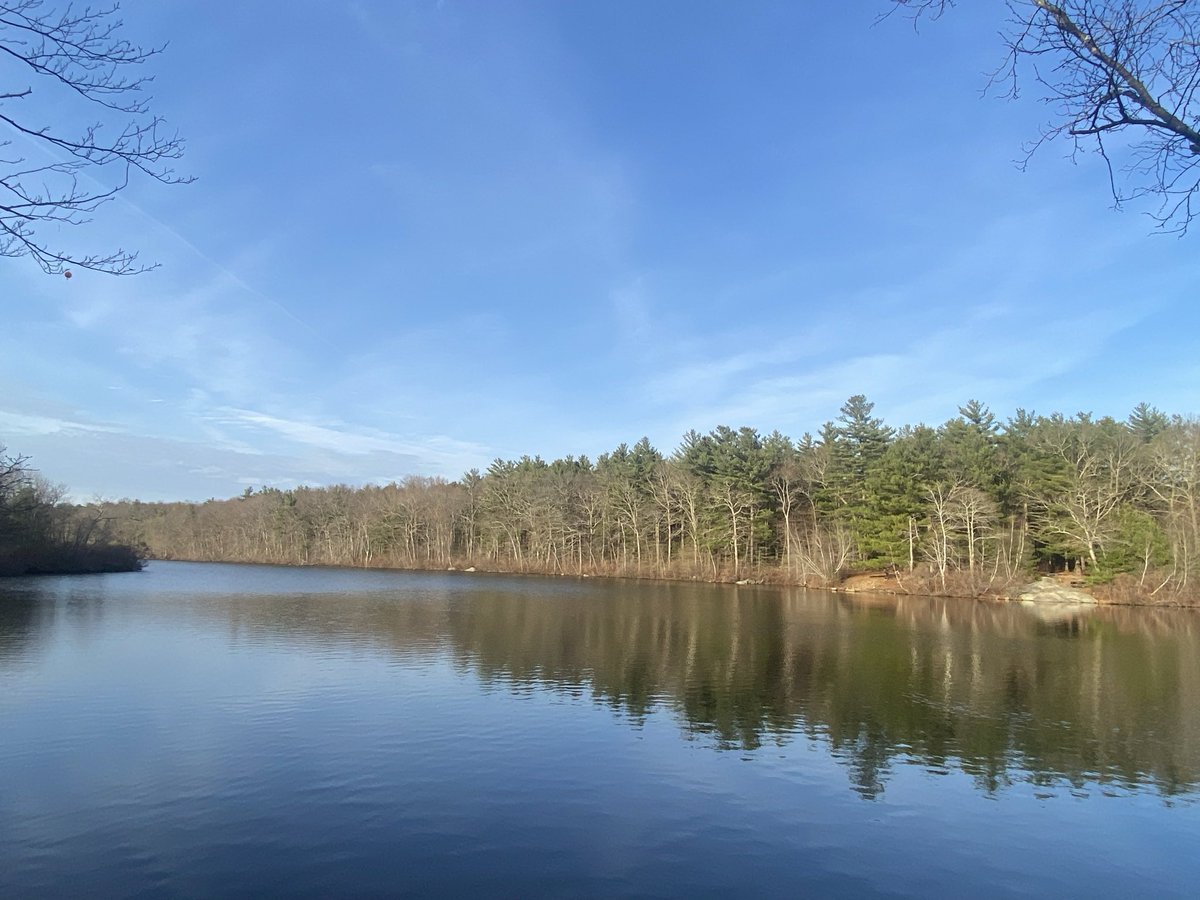 AsukaSmart☘️ tweet media