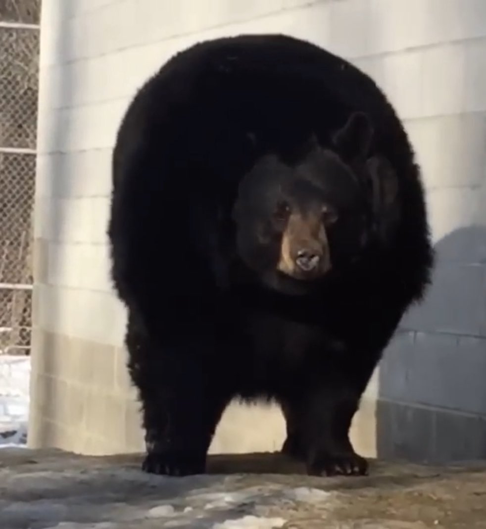 Tanyao Tammy tweet media