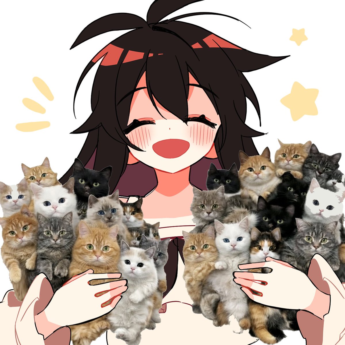 リン★リン tweet media