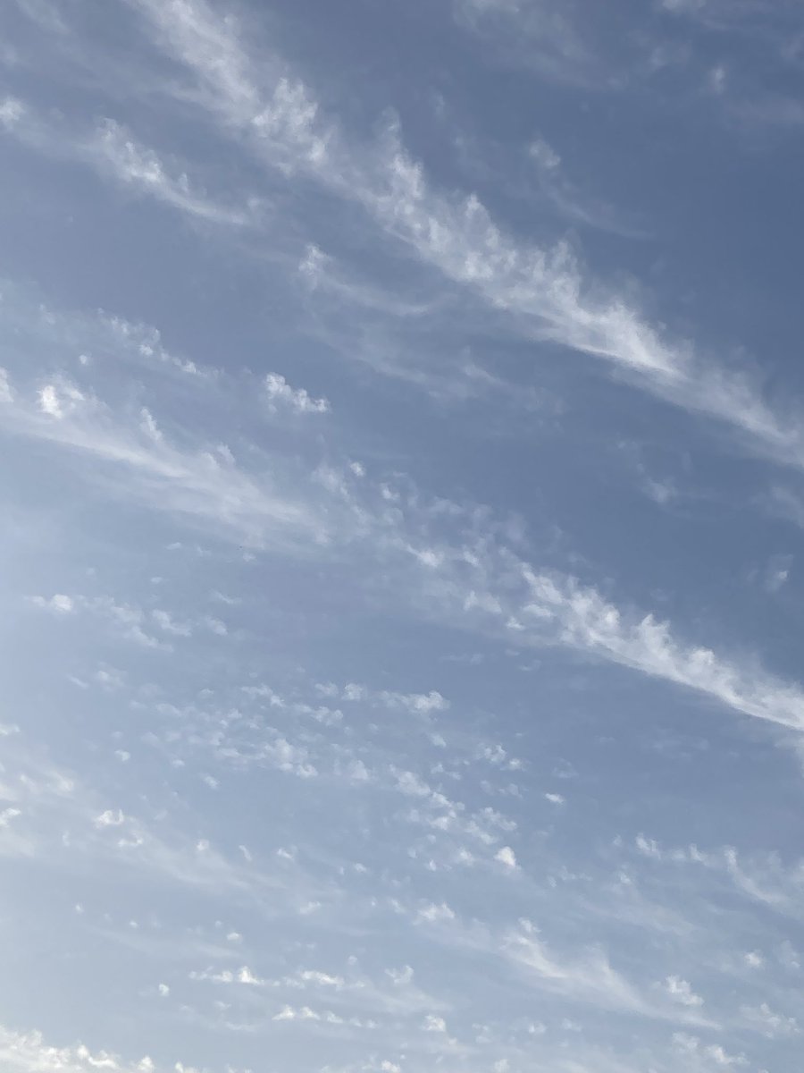 カノチヒロ@次回出演5/29-31大阪 tweet media