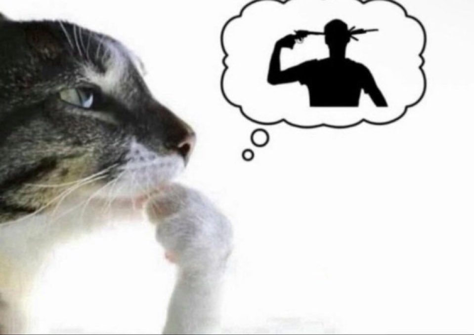 ayribotGotyyyyyy tweet media