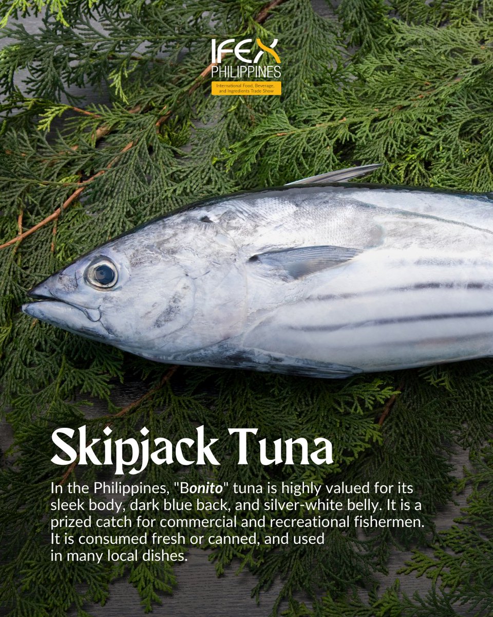 DTILosAngeles's tweet photo. [2/3]🍣 Versatile, sustainable, and globally competitive — Philippine tuna is a prized catch for food manufacturers, retailers, and chefs worldwide. 🌏

#Tuna #Export #B2B #Seafood #Ingredients https://t.co/5tW21SJQcR