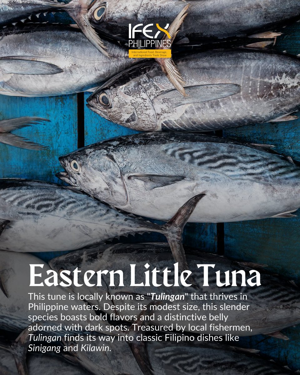 DTILosAngeles's tweet photo. [2/3]🍣 Versatile, sustainable, and globally competitive — Philippine tuna is a prized catch for food manufacturers, retailers, and chefs worldwide. 🌏

#Tuna #Export #B2B #Seafood #Ingredients https://t.co/5tW21SJQcR