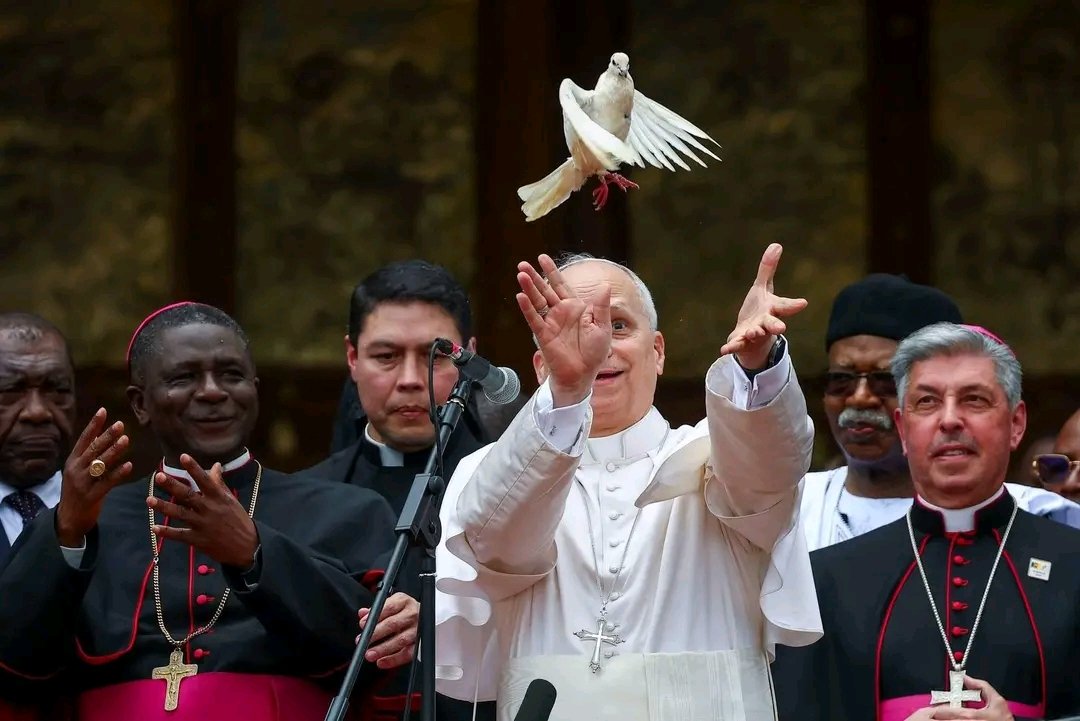 AliBrinsley's tweet photo. Ohhh Cameroon 
Pope nova even enter plane but see https://t.co/zdIuTA0lcW