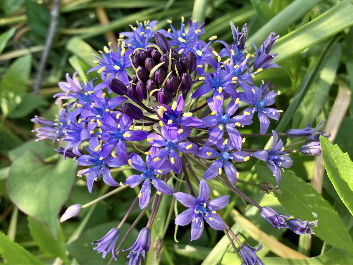 あん ✉️ tweet media