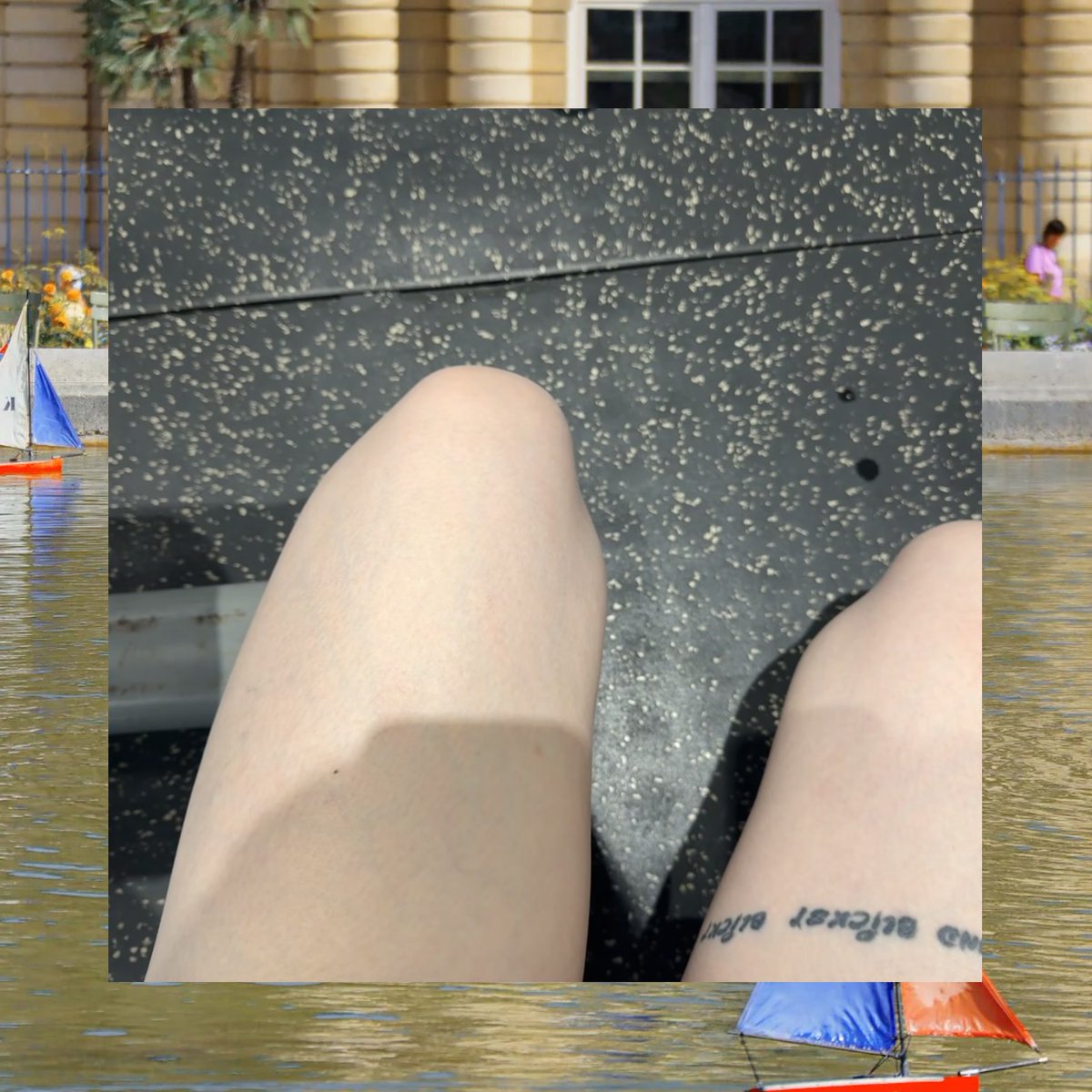 Stephen Fisher tweet media