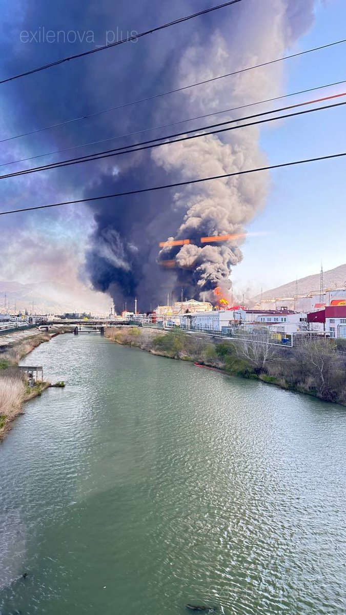 Hektor ✙ tweet media