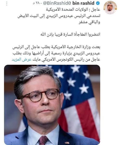 مها البحيري tweet media