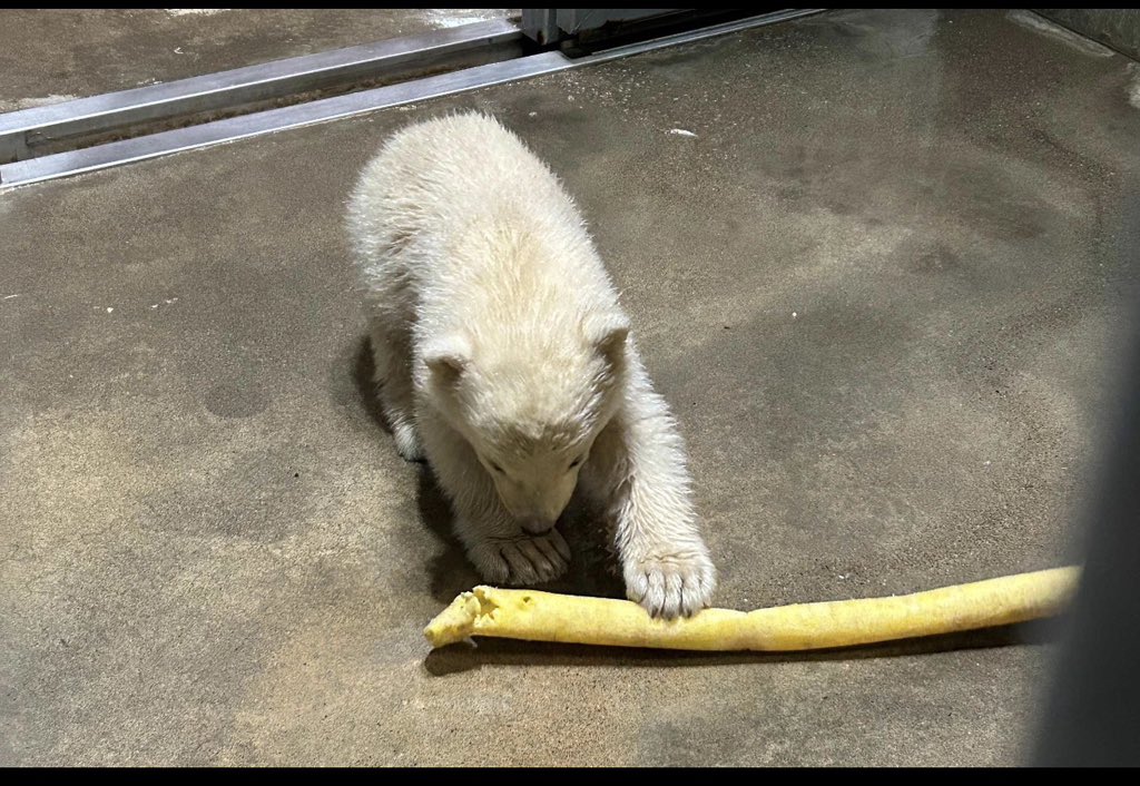 BuyAndLarge ™️ tweet media