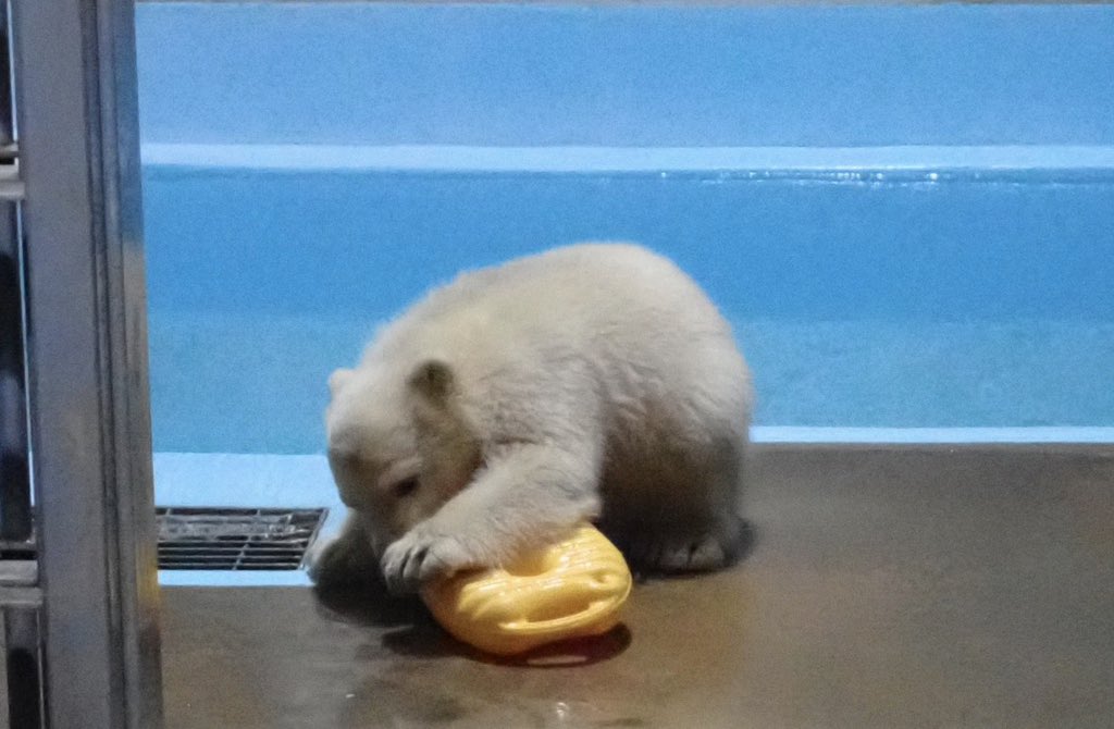 BuyAndLarge ™️ tweet media