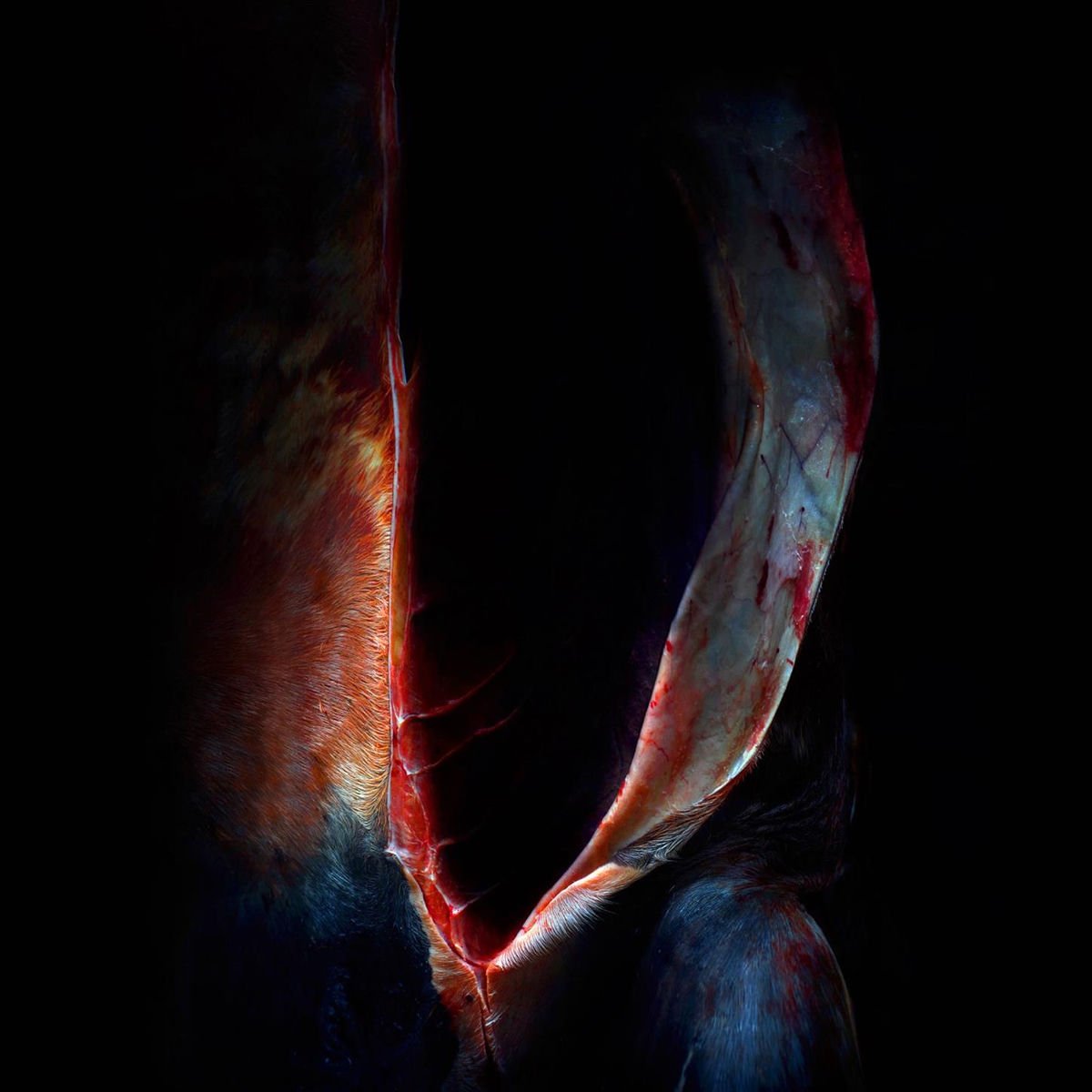 Eugene the Emperor tweet media