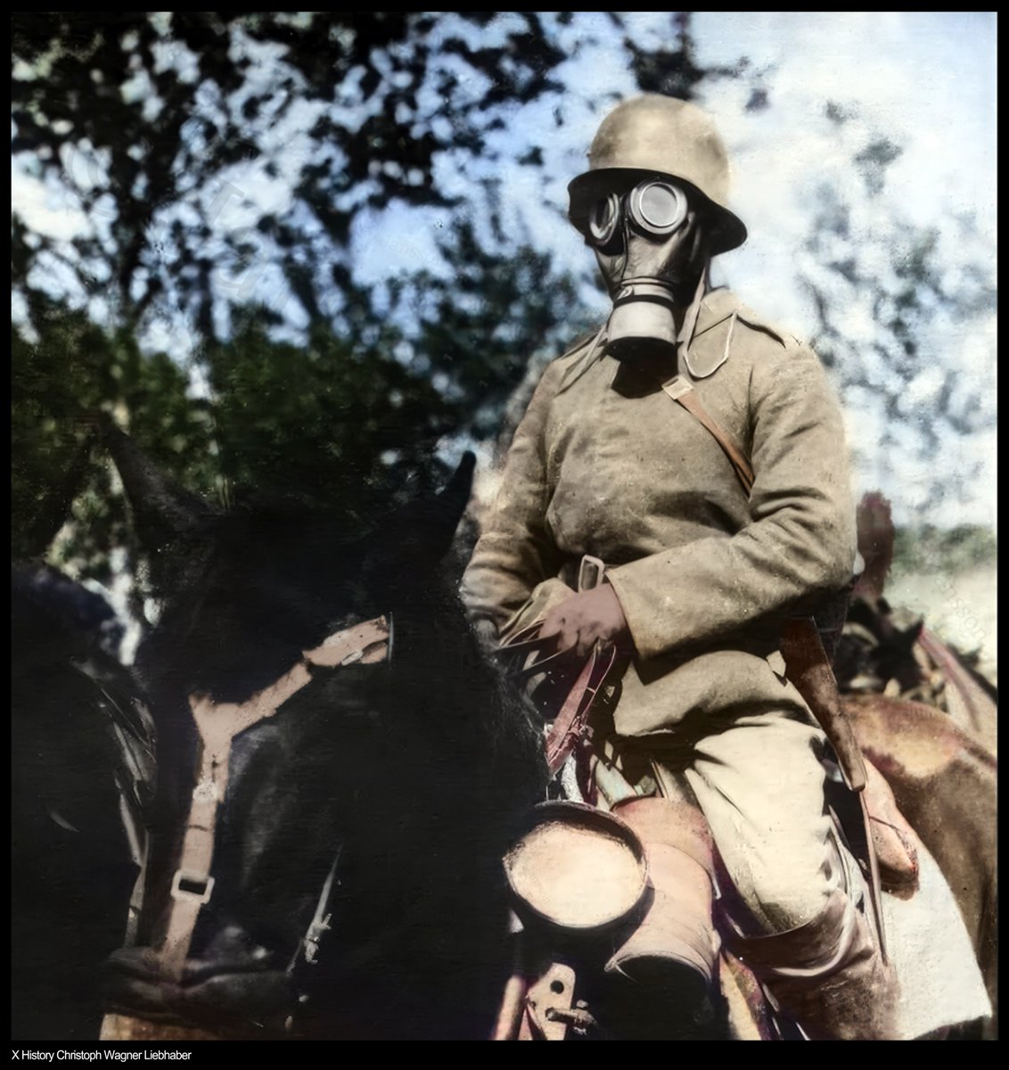 wagn36507's tweet image. Ein deutscher Kavallerist und sein Pferd mit 
Gasmasken an der Westfront, ca. 1917. 🛡️🐴

Die traditionelle Lanze der Kavallerie trifft auf die Schrecken des modernen  Gaskriegs. Der Soldat trägt die Lederschutzmaske 17 und den ikonischen  M16 Stahlhelm.
#History #WWI #Geschichte