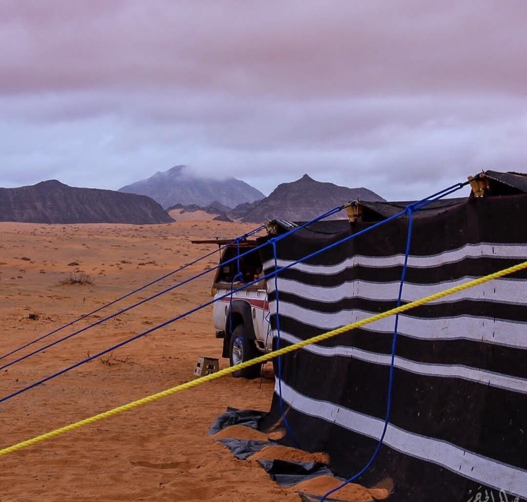 ود الشمري 🕊🇸🇦 tweet media