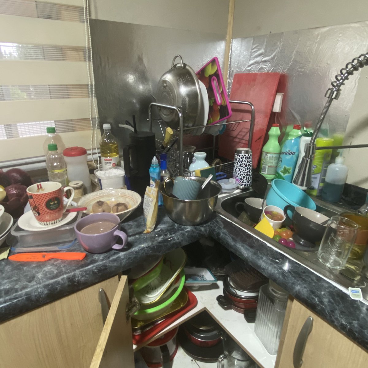 Shrimpy ྀི🦐 tweet media