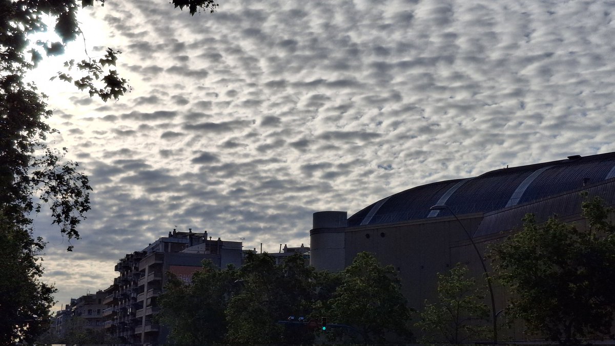 Quim | Viendo pasar la vida tweet media