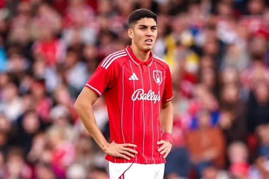 Forestmad 🔴⚪️ tweet media