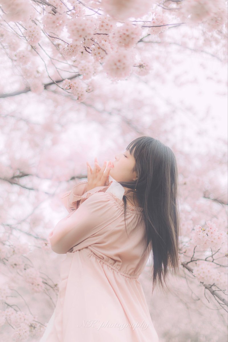 NKphotography03's tweet image. gm🌞

Model⇨ゆいのあすかさん @nyan_yui_0777 

満開の桜🌸

#ポートレート #portrait #photography #r5mark2 #rf45mmf12stm