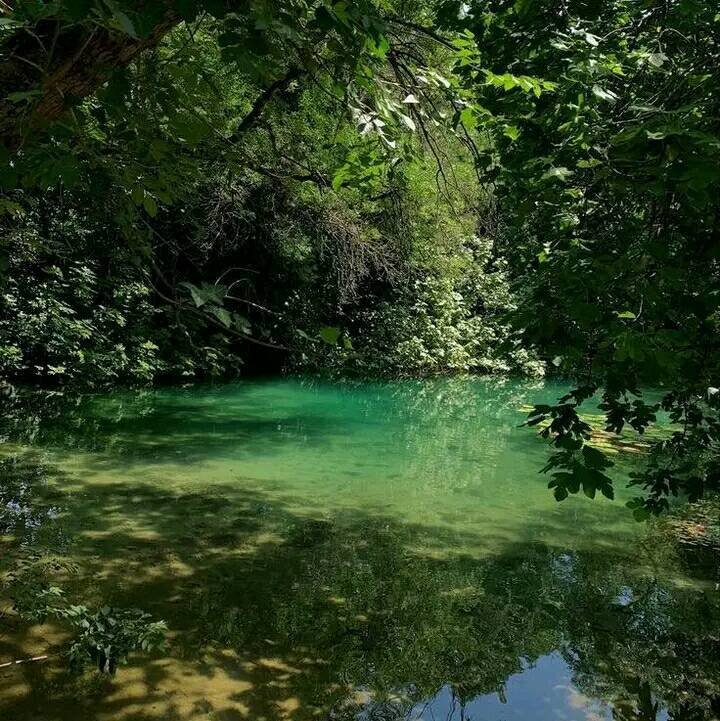 shades of green in nature