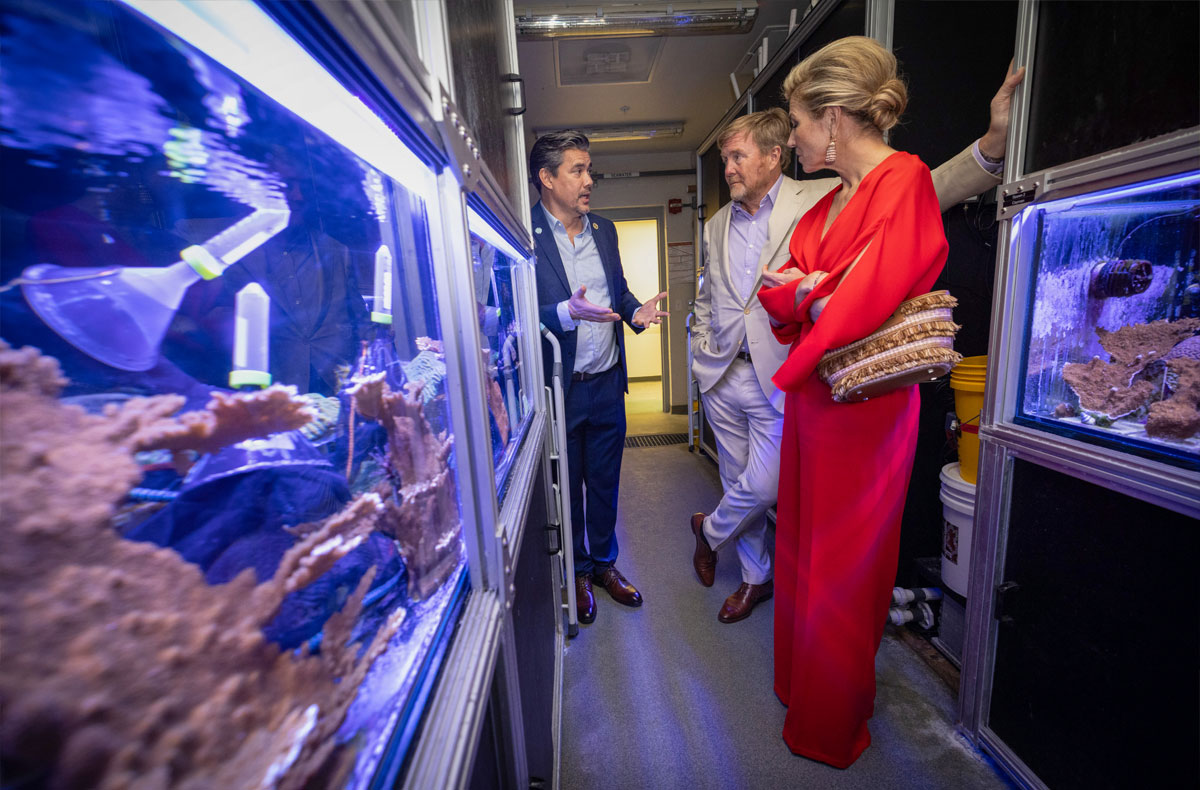 University of Miami tweet media