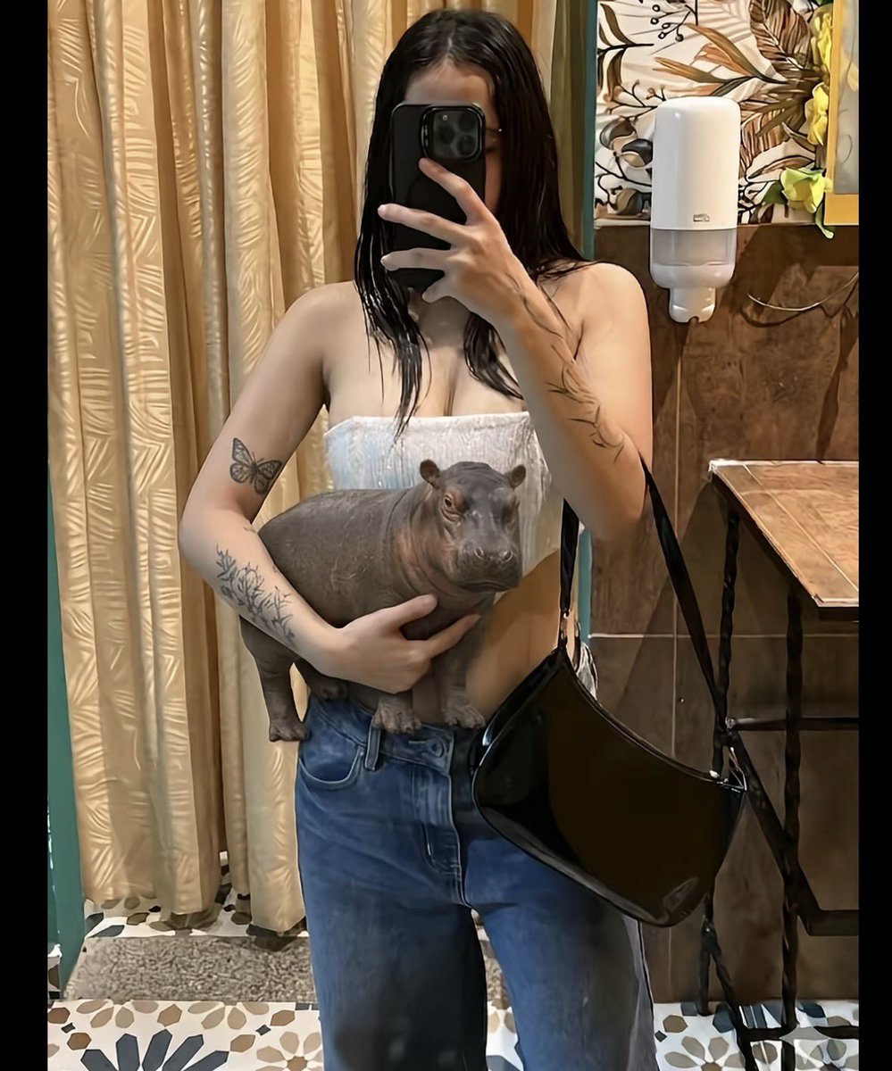 Kathe Garavito tweet media