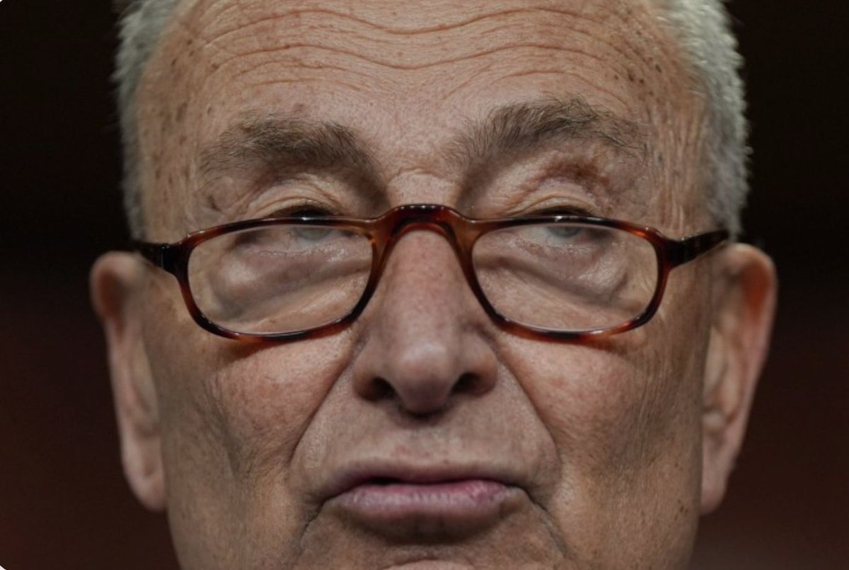 Chuck Schumer is a JOKE 🤡