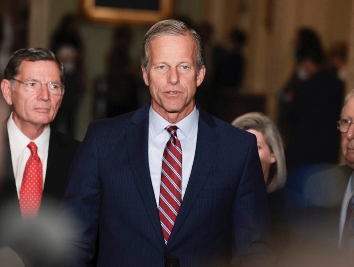 MAGA Voice tweet media