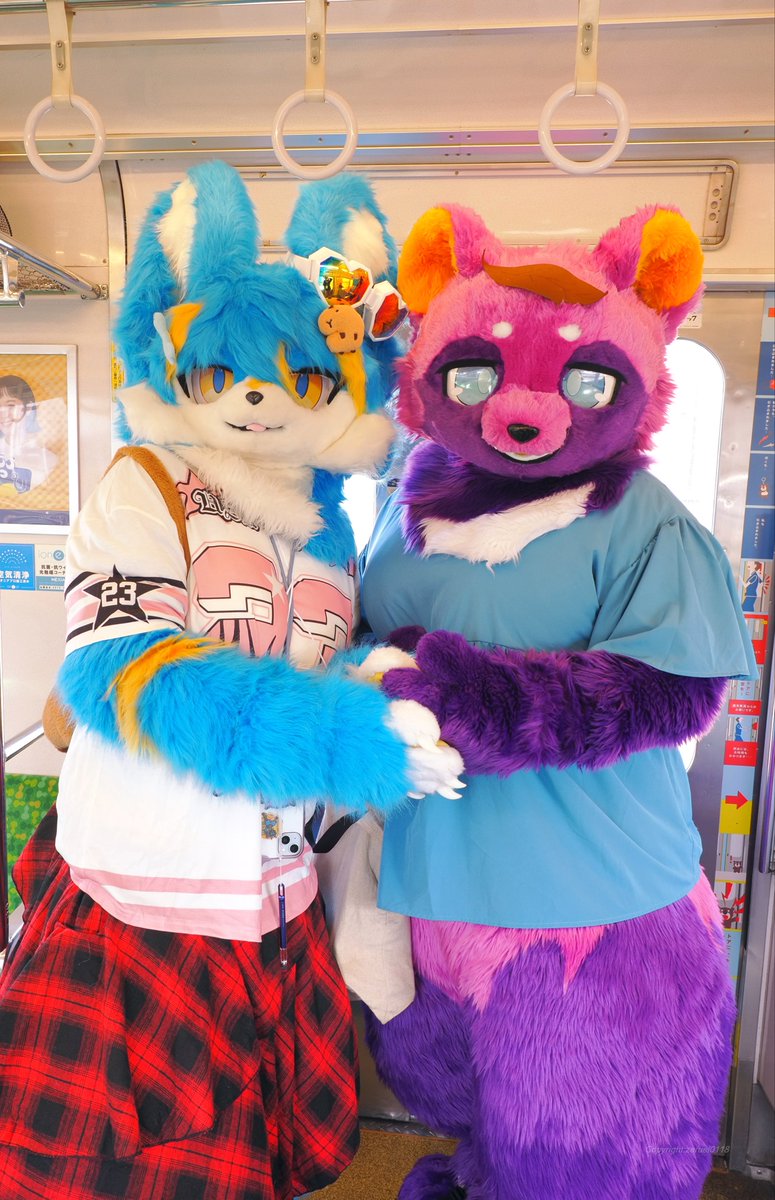 sumireRacoonDog's tweet photo. サフィアルちゃんと初めて会った時ね✨️
可愛かったわぁ...☺️

#FursuitFriday
#FursuitsFriday
#リュゼライナー102号 https://t.co/tG7rQENpAZ