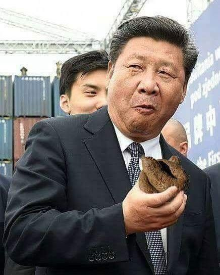 Still Victory tweet media