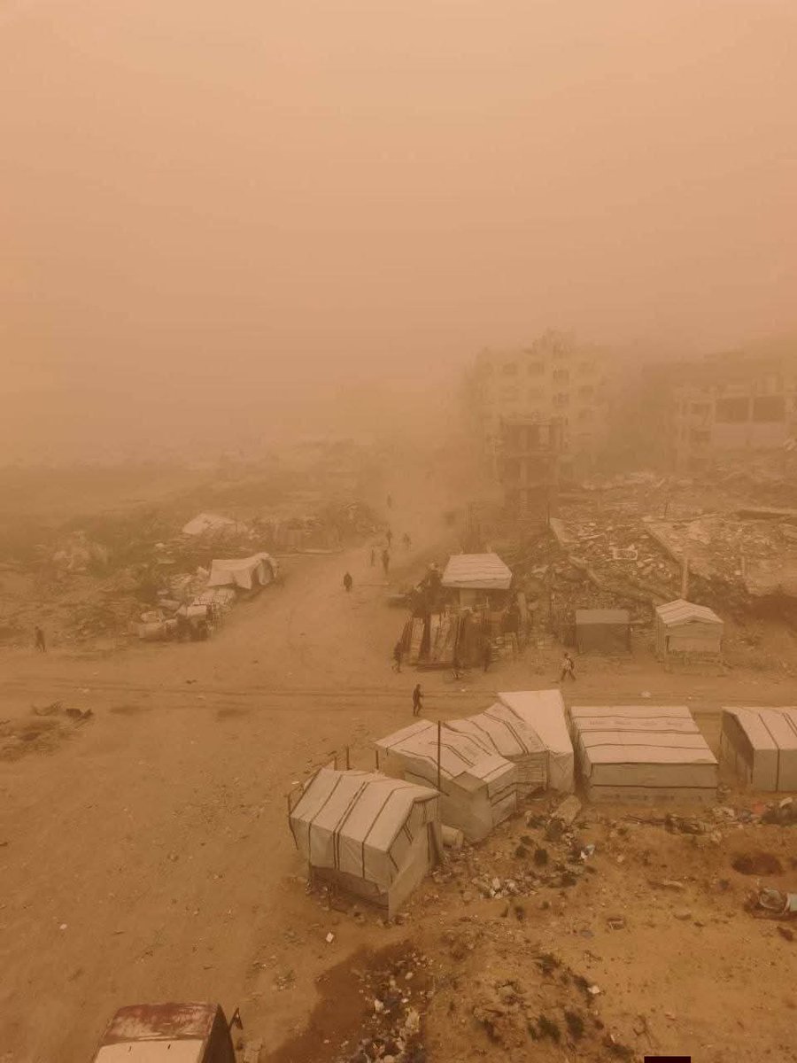 Adelsaeed2222's tweet image. 🥵Burning tents, insects, reptiles, rodents here and there. We need $70 to buy essential items. Your help and support are greatly appreciated, my dear friends. 🙏
chuffed.org/project/172116